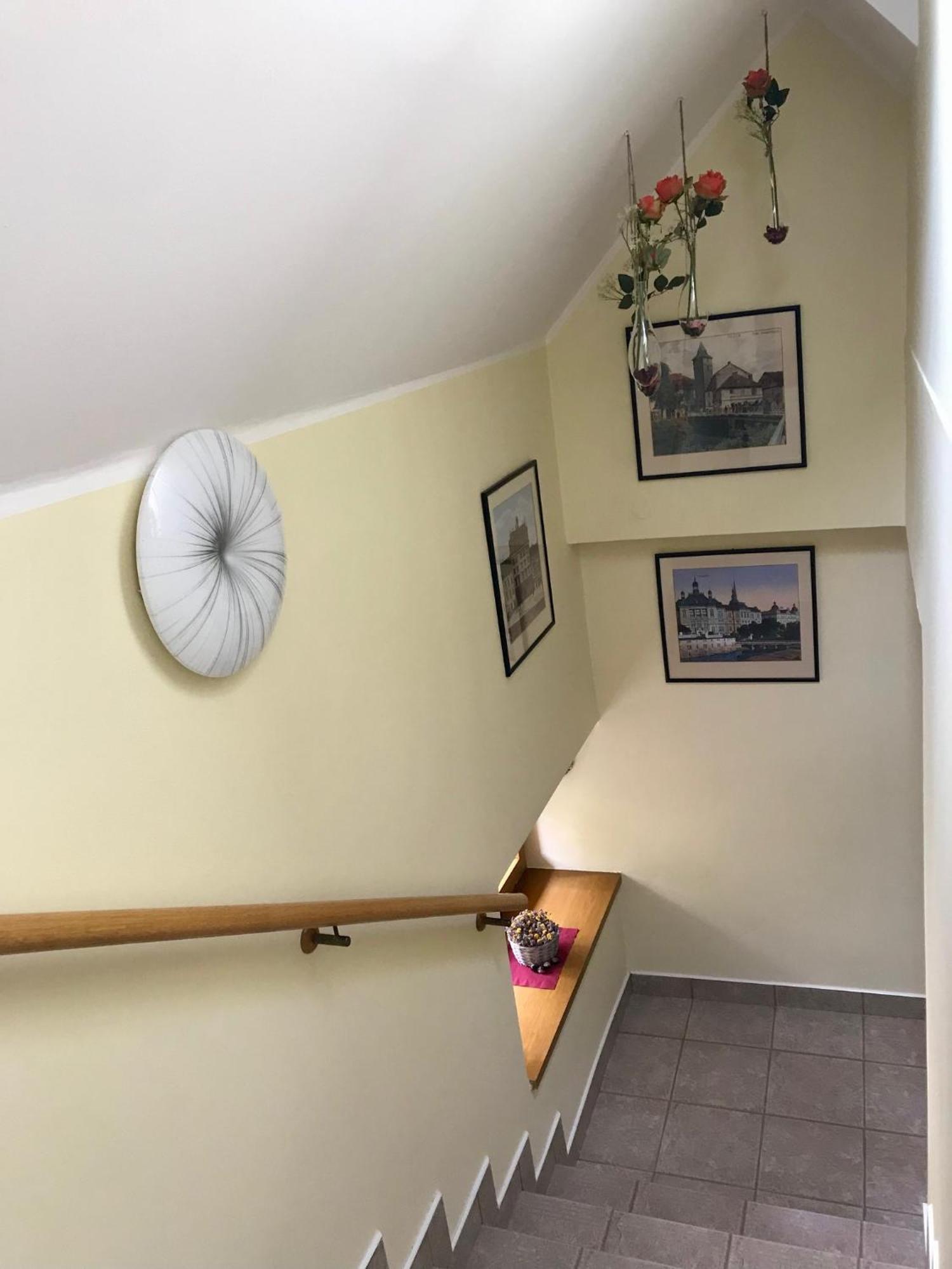 Golden Wood Apartments Plzen Bagian luar foto